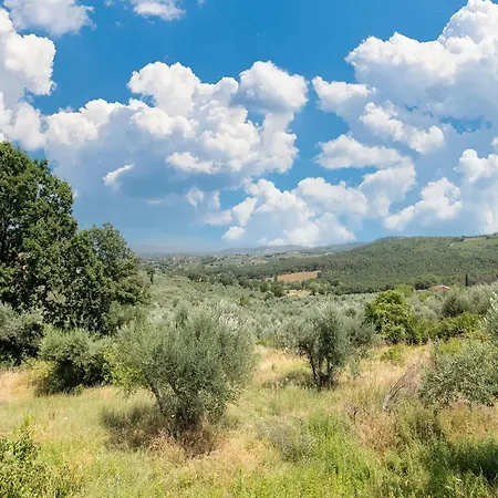 Spacious And Bright House With Private Pool Holiday home Pergine Valdarno